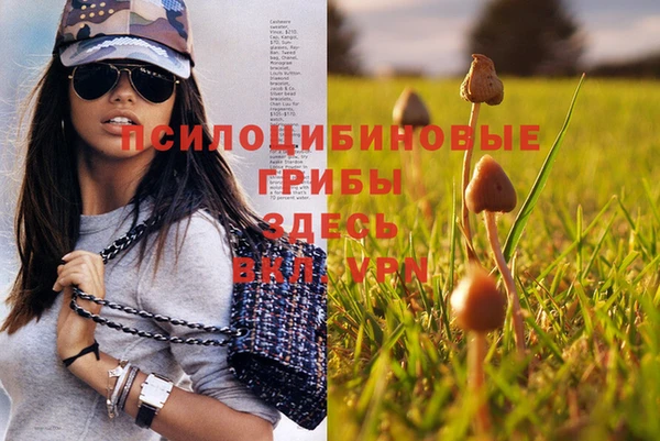 амф Абаза